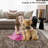 2x6 Runner Rug Washable Runner Rug Modern Abstract Runner Mat Hallway Contemporary Solid Rug Non-Slip Foldable Aesthetic Accent Floor Carpet Beige-789301645