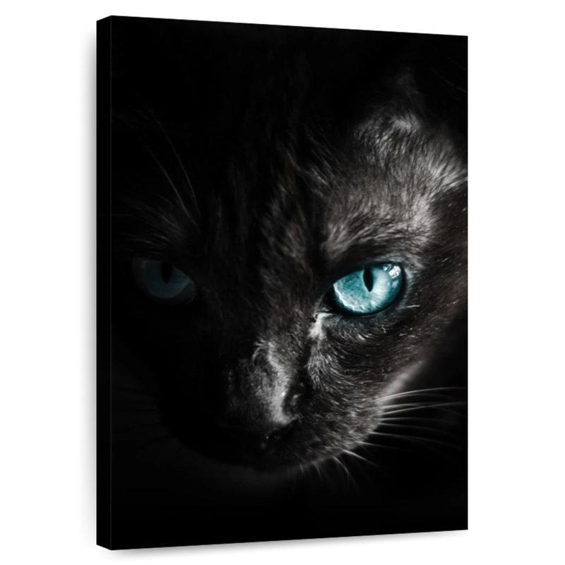Chat effrayant Brampt, H 24 po x l 16 po