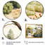 «Farm Fresh Garden II», reproduction d'art sur toile-1098049736-1098049738
