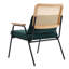 Alyncia Velvet Armchair