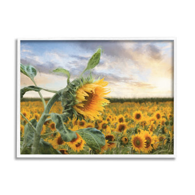 Tournesols jaune vif dans un champ de soleil ensoleillé par Lori Deiter - photographie