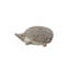 Floor Cushion Hedgehog