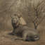Regal Repose