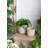 Gray Sand And Cement Planters With Floral Motif-2093992148