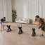Table de jeu de palets 2 en 1 et jeu de quilles-102437767