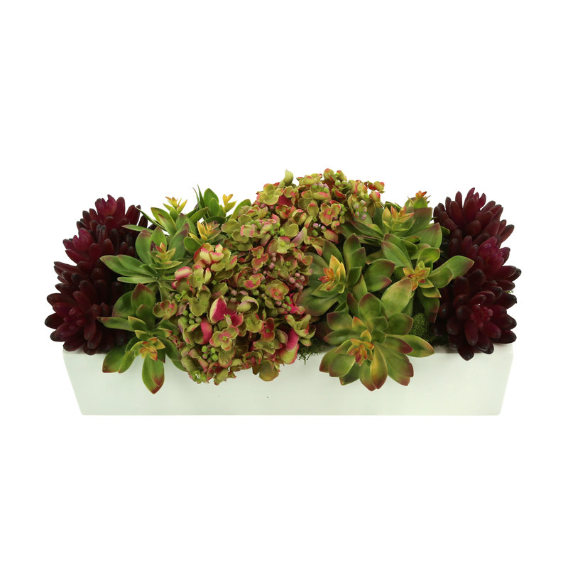 Hydrangea, Sedum And Succulents In Planter