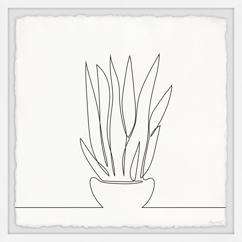 Succulent Line - Single Picture Frame Print, 45cm H x 45cm W x 3.81cm D