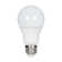 60 Watt Equivalent A19 E26/Medium (Standard) LED Bulb