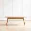 Largeur de la table basse: 100 x profondeur 50 x hauteur 44 cm, bureau central facile à assembler