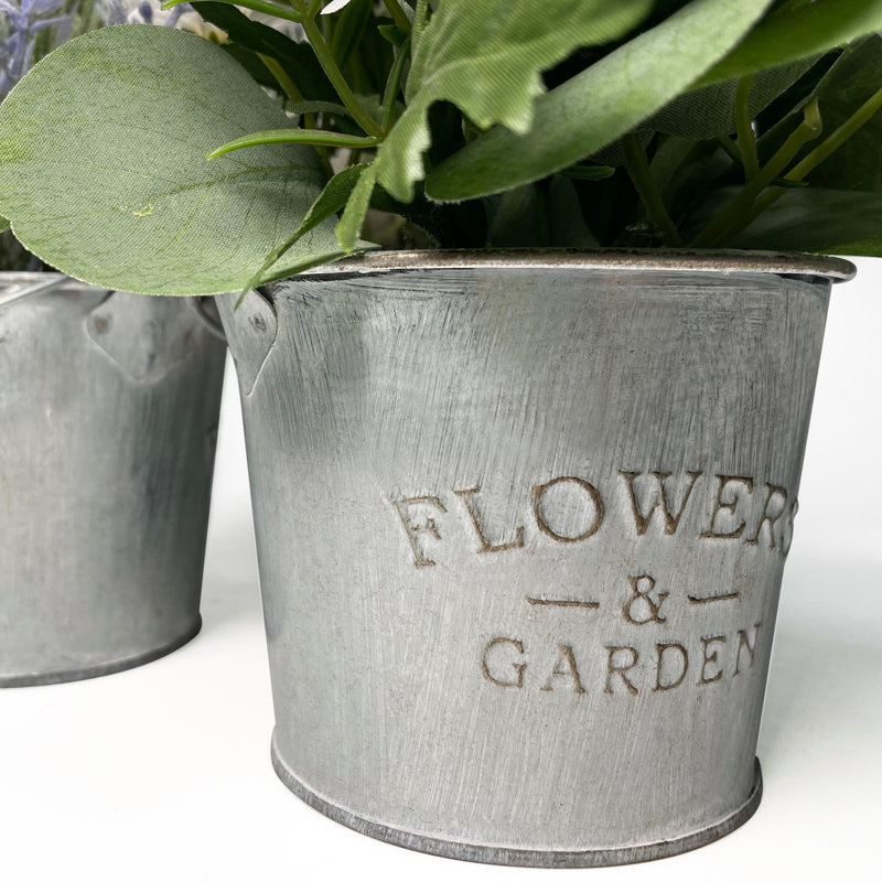 Gira Arrangement in Pot