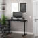 Adjustable Standing Desk