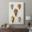 Cone Shell Collection VI - galerie Cavas sur mesure