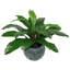 60cm Faux Fern Plant in Pot Liner-1560364593
