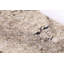 Plainweave Heather Handmade Wool Abstract Area Rug-1286785391