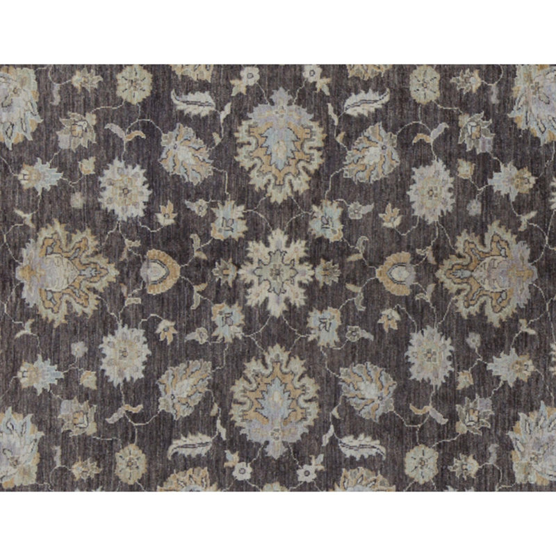 Ziegler Wool Oriental Area Rug in Brown/Beige/Green