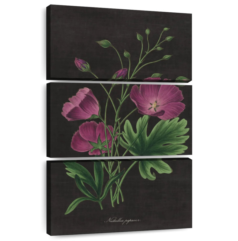 Harnek Botanical On Black Chart II, 74'' H x 48'' W