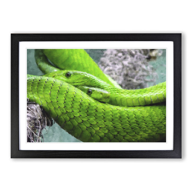 Green Mamba Snakes - Framed Print, 27cm H x 36cm W x 2cm D, Black Framed