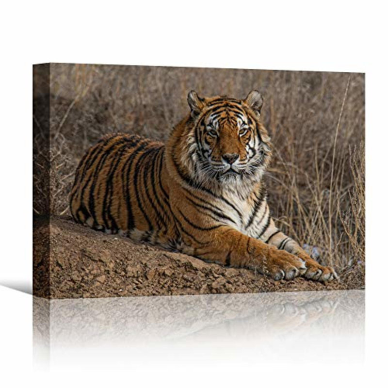 Signature signée Tiger, H 12 po x l 18 po