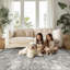 Tapis