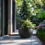 Pot à fleurs en ciment Highwoods-1181585772-1168435961