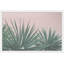 Desert Spoon - Single Picture Frame Print-604439993