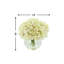 Hortensia de Carruth dans un vase
