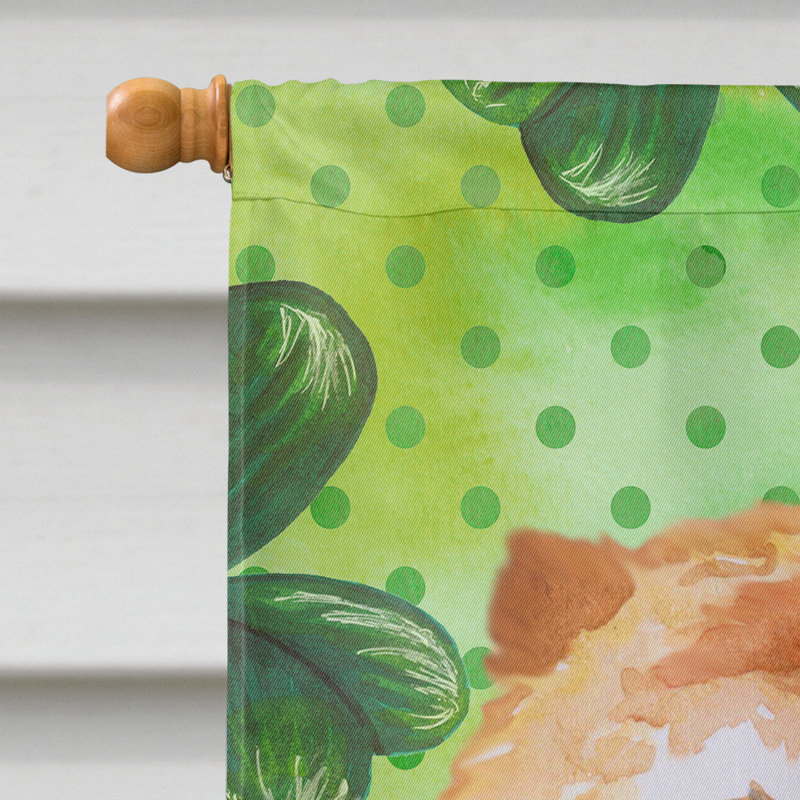40 x 28 po en polyester à 2 côtés de la st patrick drapeau maison, Cane corso brun