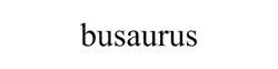 Busaurus Inc logo