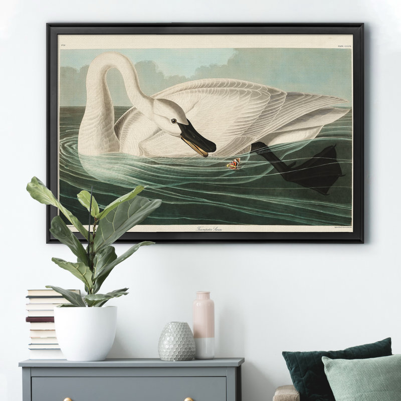 Trumpeter Swan - reproduction d'art sur toile, Noir, H 22,5 po x l 30,5 po x P 1,5 po