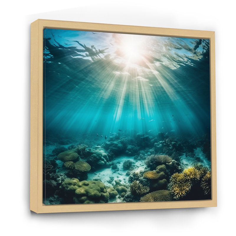Underwater Coral IV - art mural côtier pour le salon, H 24 po x l 24 po x P 1 po, Cadre flottant érable