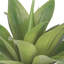 Plante grasse artificielle en pot-1152137813