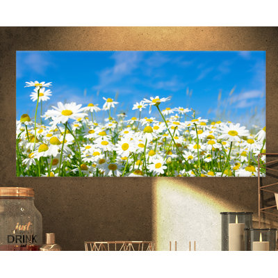 Floral White Daisies Under Blue Sky Canvas Photograph - White Daisies