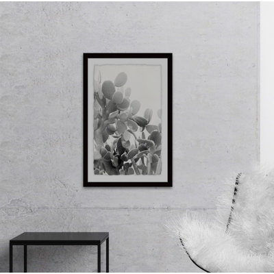 « round succulent radicales », impression encadrée sur papier
