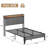 Alicia Upholstered Platform Bed-276131694-276131695