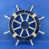 Dark Blue / White selected