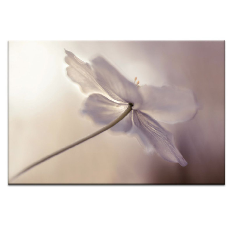 Print on Canvas, 102cm H x 152cm W, Wrapped Canvas