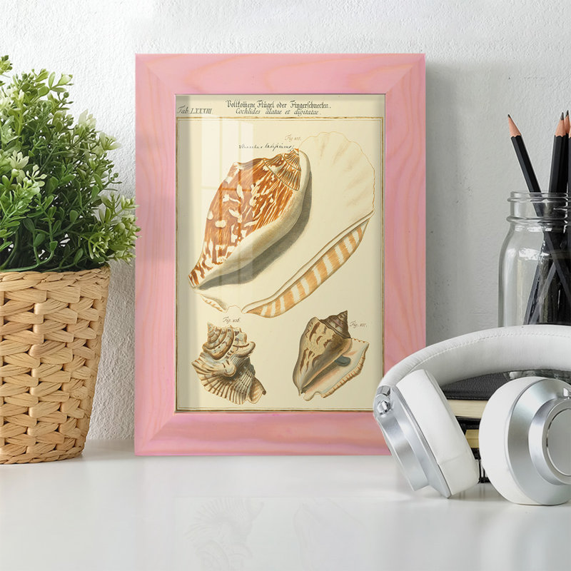 Coquilles de martini antique III sur papier, H 6 po x l 4 po x P 1 po, Rose