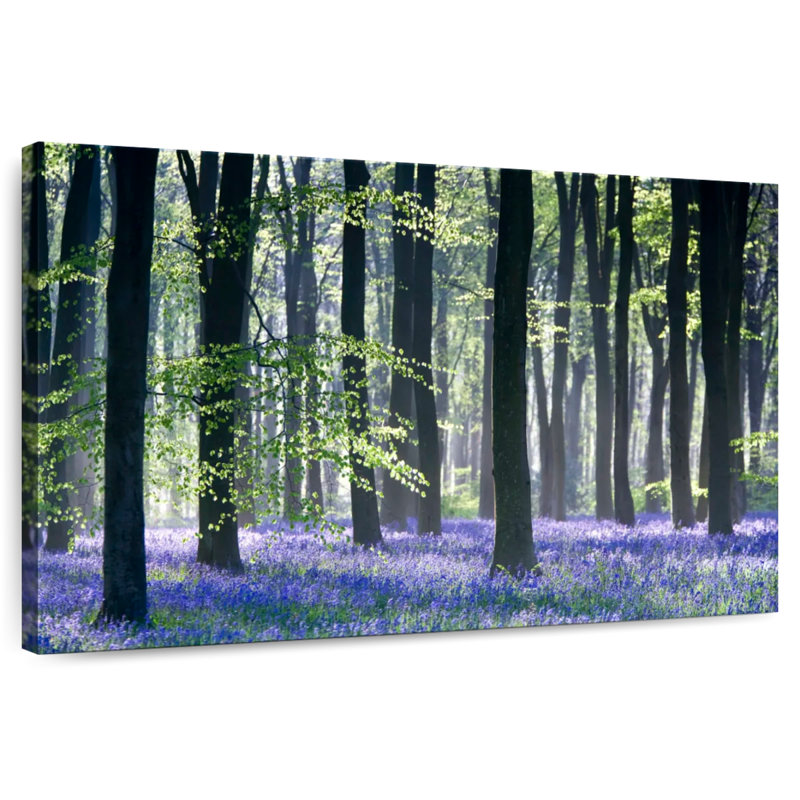 Bluebell Vision, 26" H x 39" W
