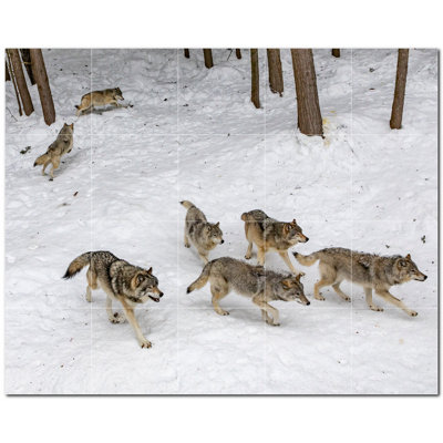 Murale en céramique satinée loup 12 po x 12 po Wolf Photo