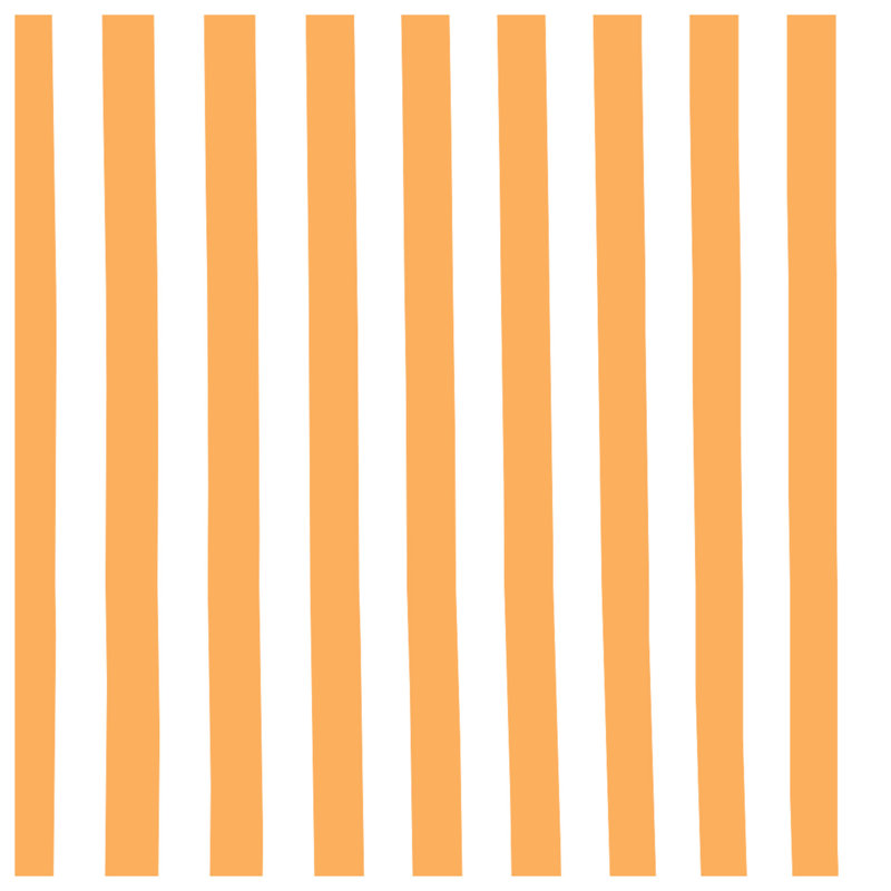 Orange Vertical Stripes Shower Curtains Extra Long, L 70 po x H 93 po