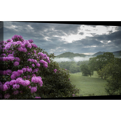 «Country Rhodies long the Pasture», reproduction de photo sur toile tendue Country Country