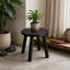 Tier Plant Stand