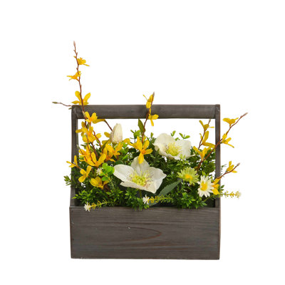 Mixed Arrangement in Pot