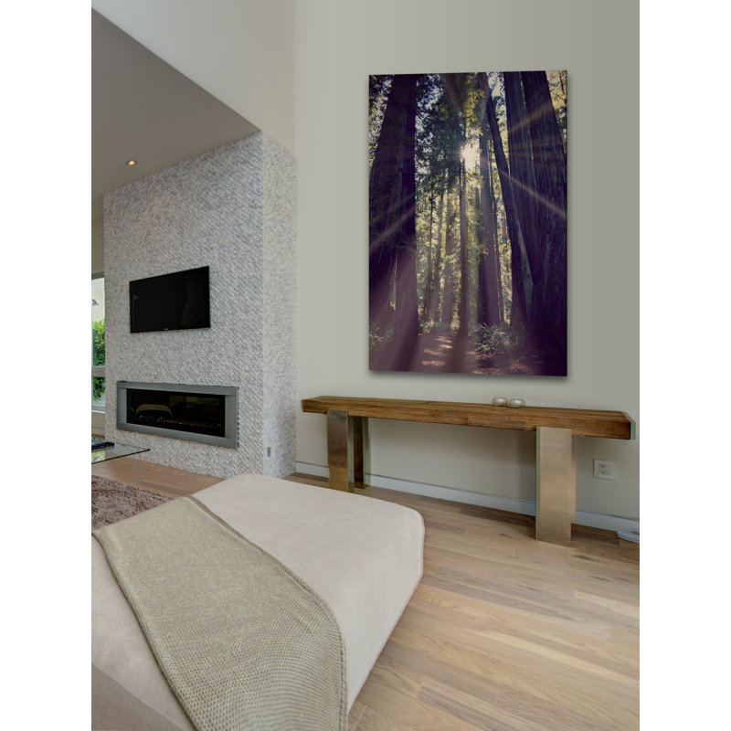 " Redwoods Hike " by Robert Dickinson, 45" H x 30" W x 1.5" D