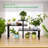 Cabinet Shelving Rack-1680611434
