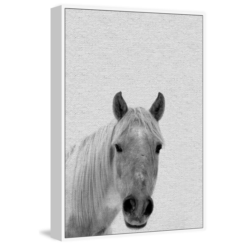 Big Nosed Horse 1 Piece Floater Frame Wall Art on Canvas, 46 cm H x 30 cm W x 4 cm D