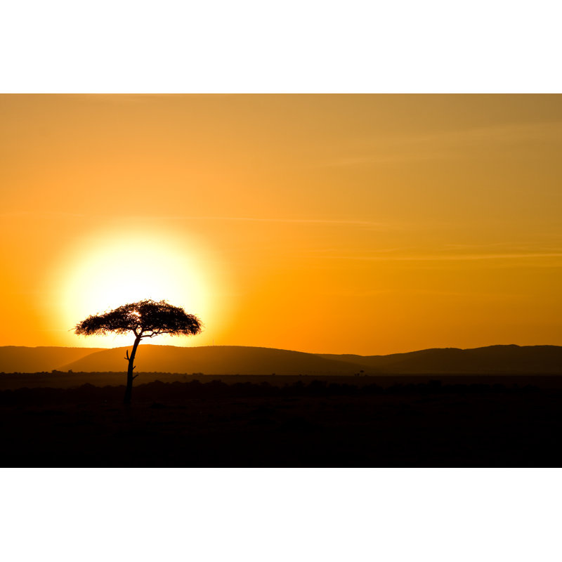 Photographie de toile tendue Sunrise III par Peterschwarz, H 8 po x l 12 po