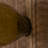 Brown Wood Tall 40 Hole Wall Wine Rack, 21" x 4" x 57"-365769774-365769769