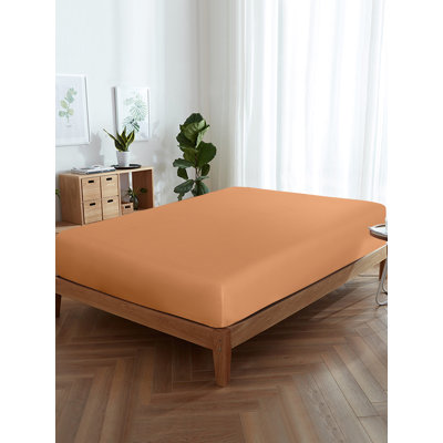 Drap-housse