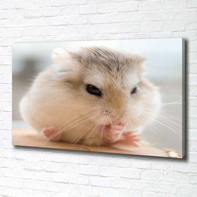 Hamster - Wrapped Canvas Print